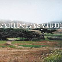 Amber Asylum : The Supernatural Parlour Collection